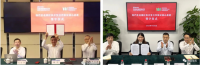 中國寶武，究竟儲備了多少鐵礦？